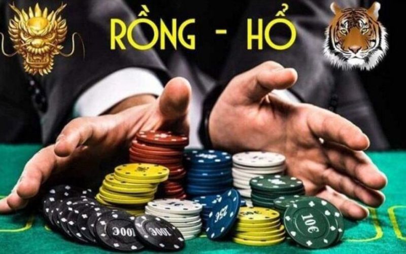 Hướng dẫn cách soi cầu Rồng Hổ