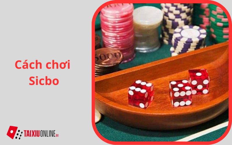 cách chơi sicbo