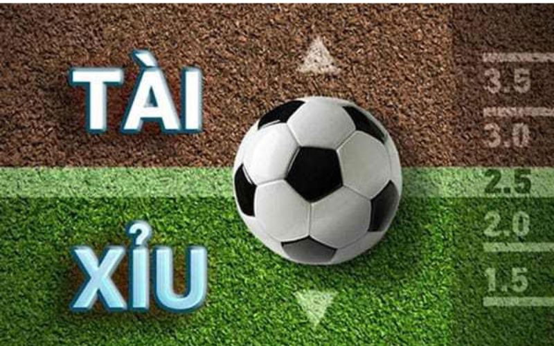 Tài xỉu trong bóng đá là gì? Tài xỉu có phải cá độ?